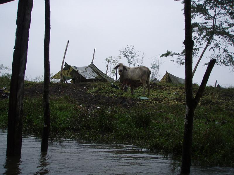 Colombia 2012 (102).JPG